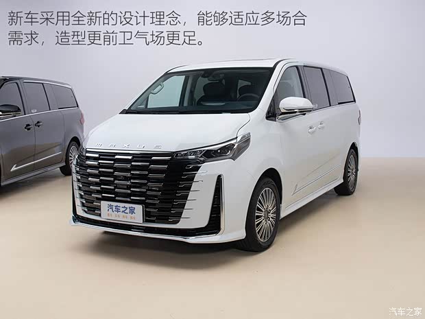 上汽大通 大通G10 2025款 MAX 2.0T 自动旗舰版 汽油 7座