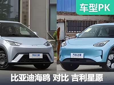 过完大年提什么车？选销量王海鸥！还是后起之秀星愿！