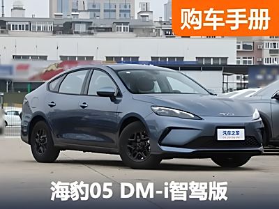 7.98万元起！10万级的高阶智驾——海豹05DM-i智驾版该选谁？