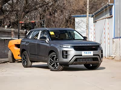 国外卖得好买车能不能参考？中国品牌海外热销车型盘点