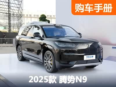 首推入门1300尊荣型 腾势N9购车手册