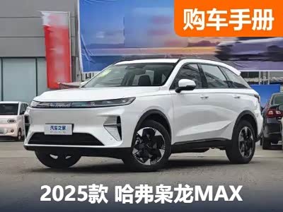 限时11.68万元买四驱 长城哈弗枭龙MAX购车手册