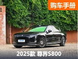 冲击豪华旗舰 配置到顶 质感拉满的尊界S800怎么选