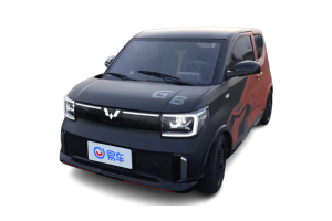 天地良心宏光MINIEV