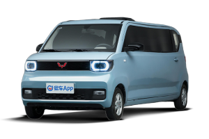 天地良心宏光BIGEV